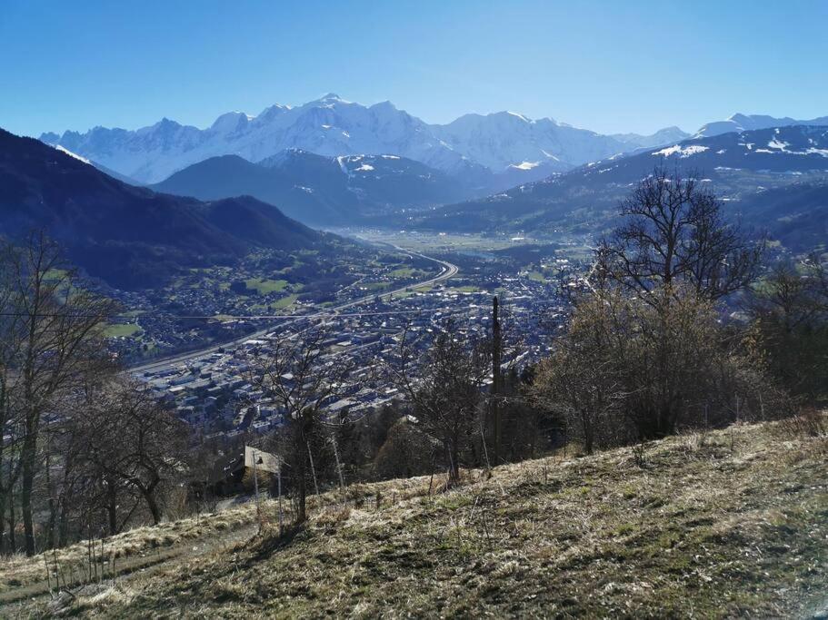 Super Appartement Cocooning Vu Mont Blanc Sallanches Exterior foto
