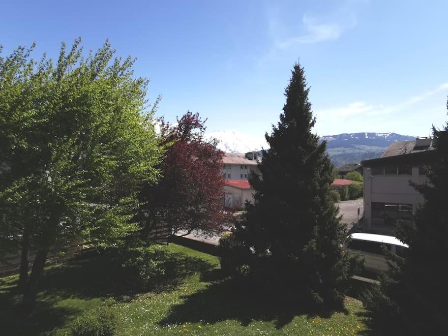 Super Appartement Cocooning Vu Mont Blanc Sallanches Exterior foto